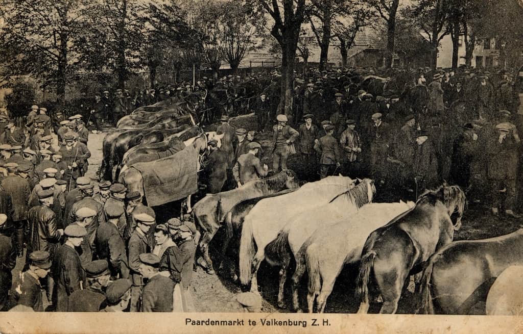 1920 Paardenmarkt